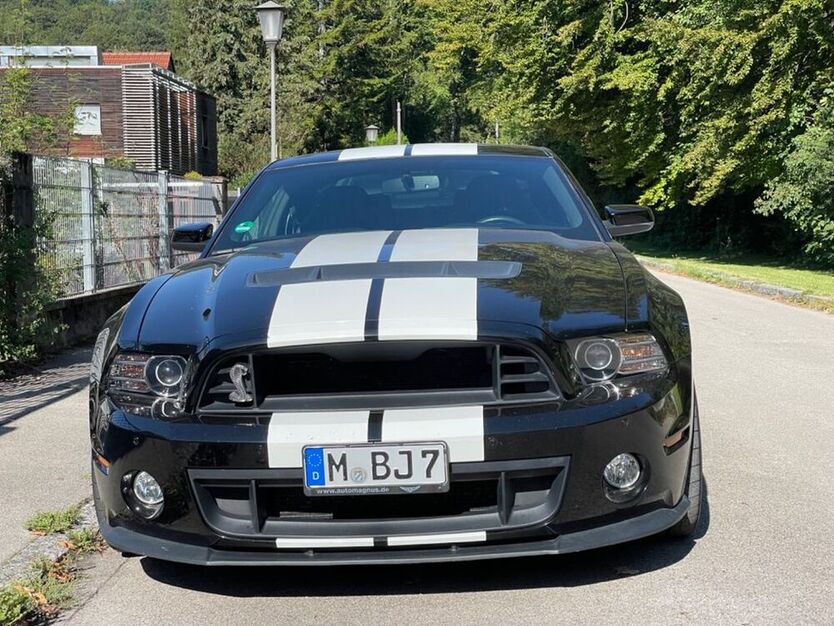 Mustang