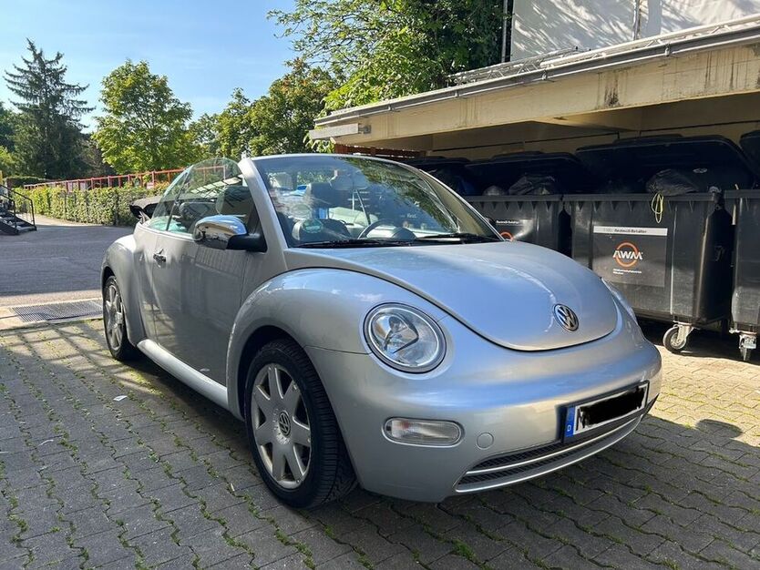 Beetle