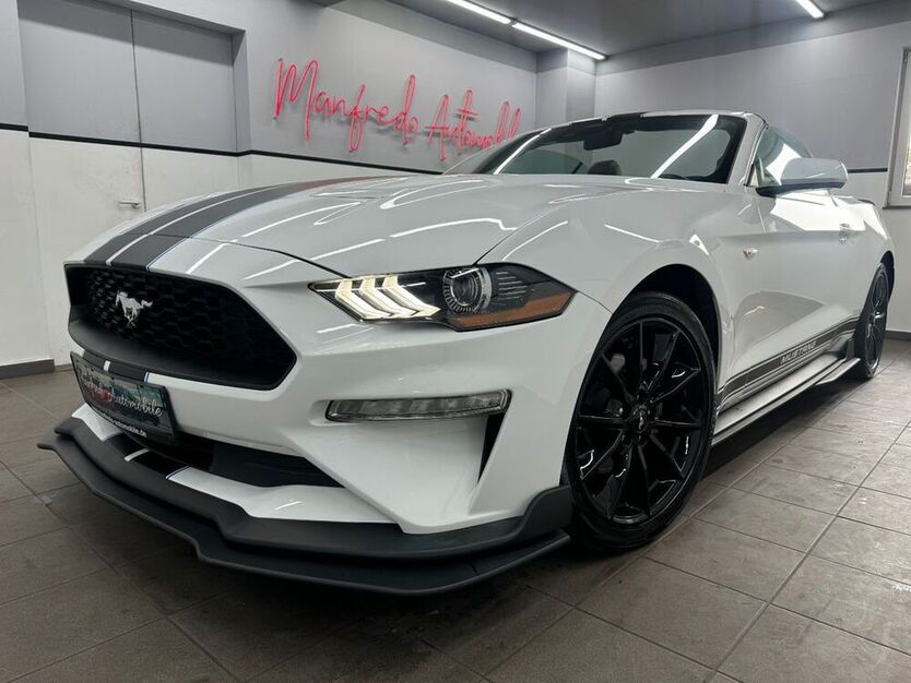 Mustang
