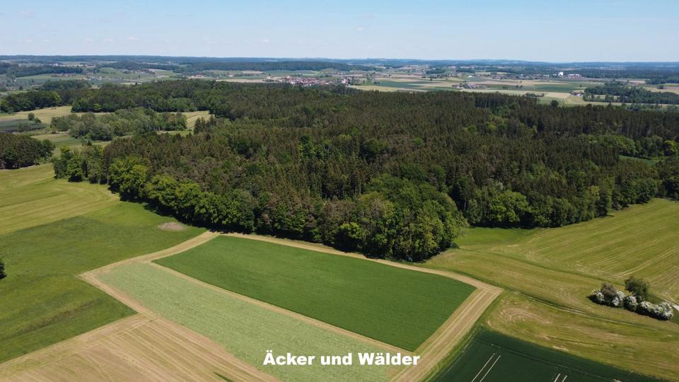 Einfamilienhaus Ebersberg - 3.400.000&euro; | Angebot:27259334