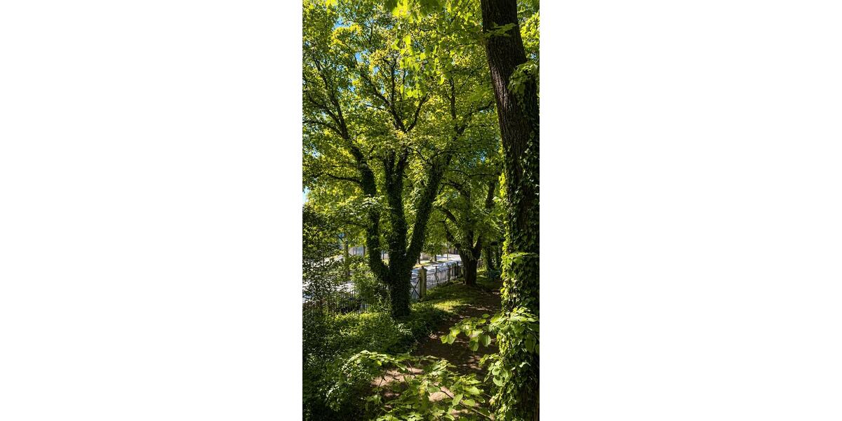 Etagenwohnung München Ludwigsvorstadt-Isarvorstadt - 2 Zimmer, 48 m&sup2;, 498.000&euro; | Angebot:27083404