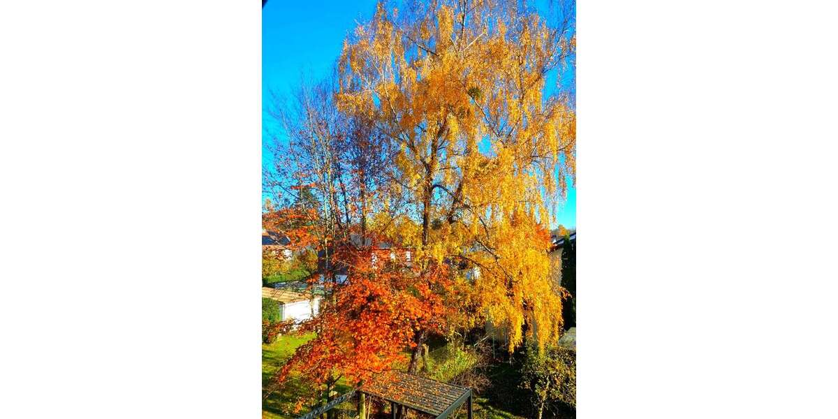 Wohnung zum Kaufen in Kirchseeon 342.500 € 74 m² 3 zimmer