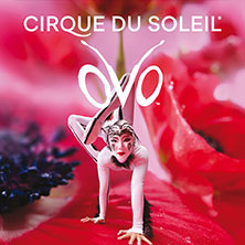 Cirque du Soleil - OVO 30.01.2027 Olympiahalle München