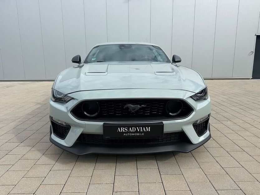 Mustang