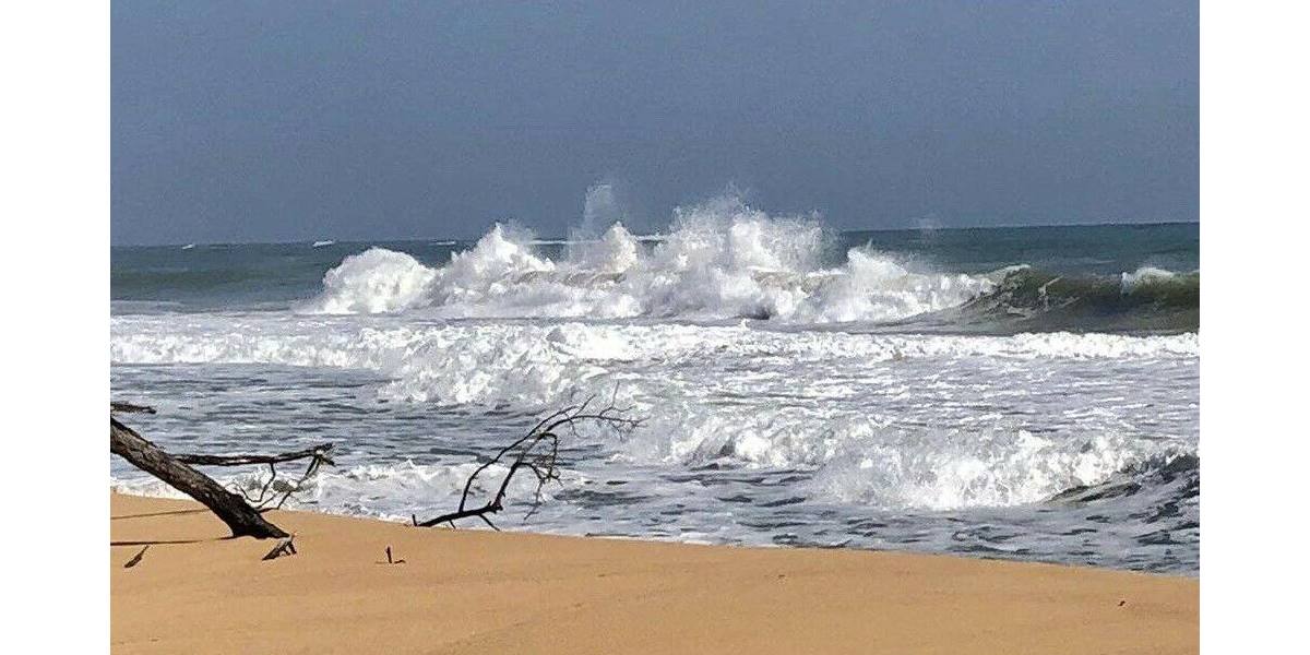 Grundstück in Costa Rica in einer der blauen Zonen der Erde zimmer