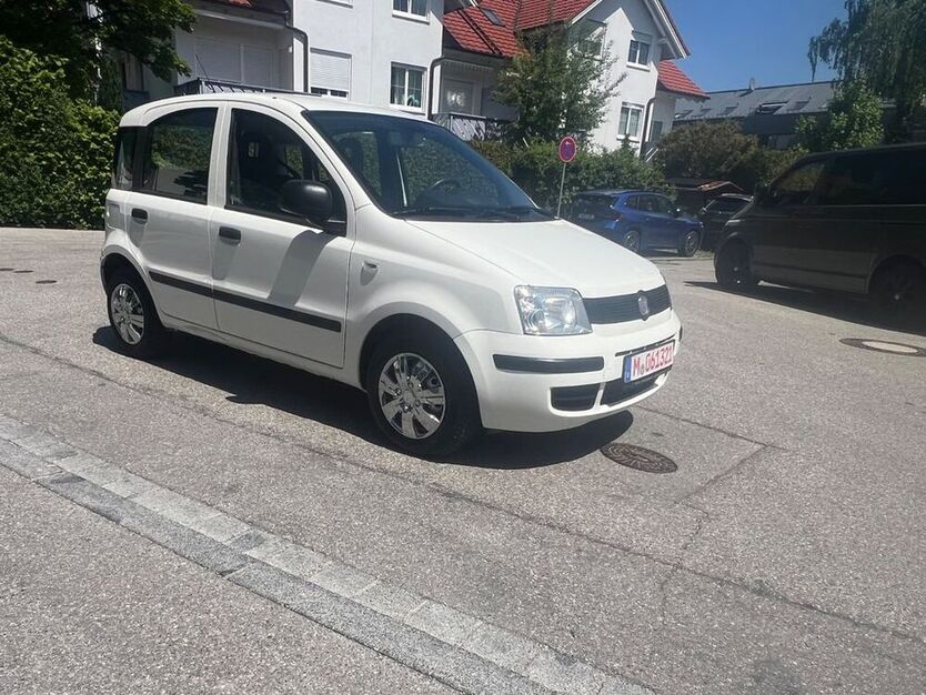 Panda