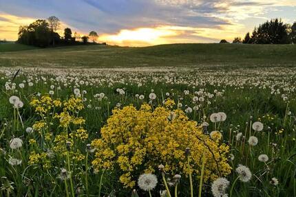 EFHaus (neuw.) 1 Stde westlich von München zimmer
