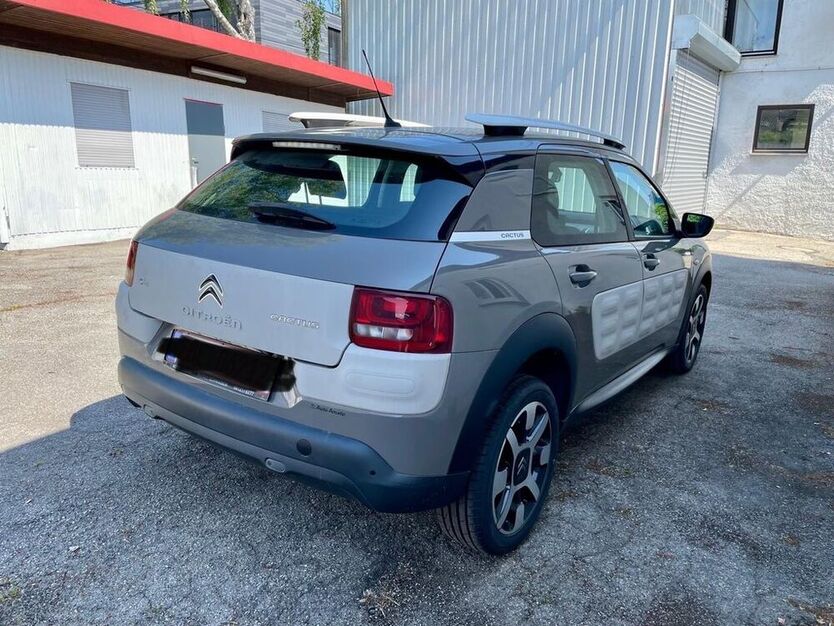 C4 Cactus