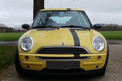Mini Mini (alt)