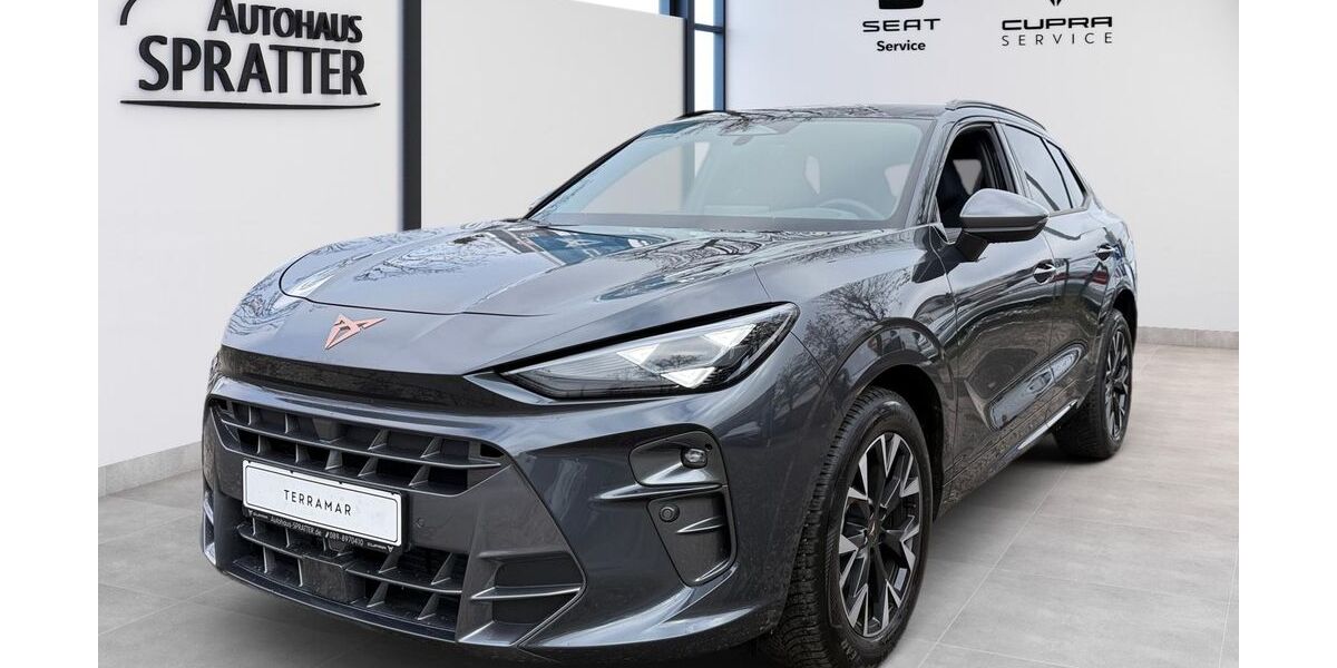 Cupra Terramar 1.300 km 35.980 &euro; München 81249