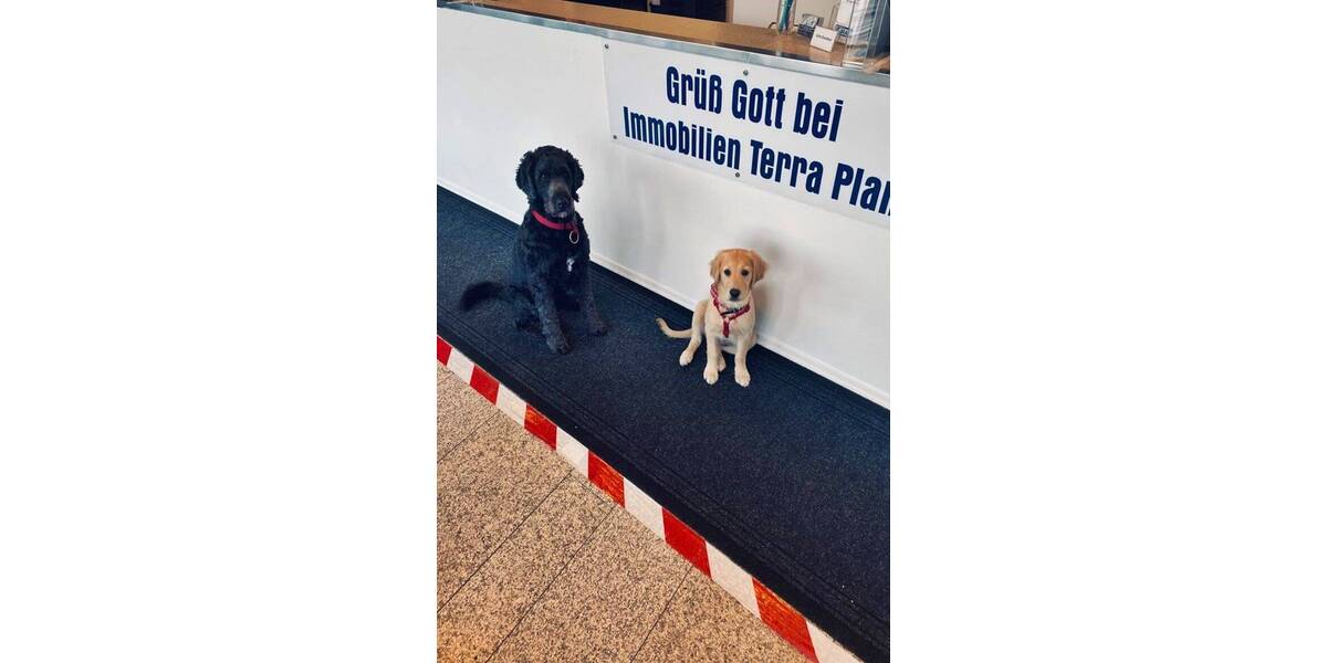 SCHÖNE 3-ZIMMER WOHNUNG MIT LOGGIA UND TAGESLICHTBAD, IN RUHIGER ZENTRALER LAGE 3 zimmer