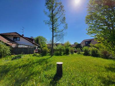 IHR RUHIGES PLÄTZCHEN IN DER SONNE - Grundstück Weßling | Angebot:25248165