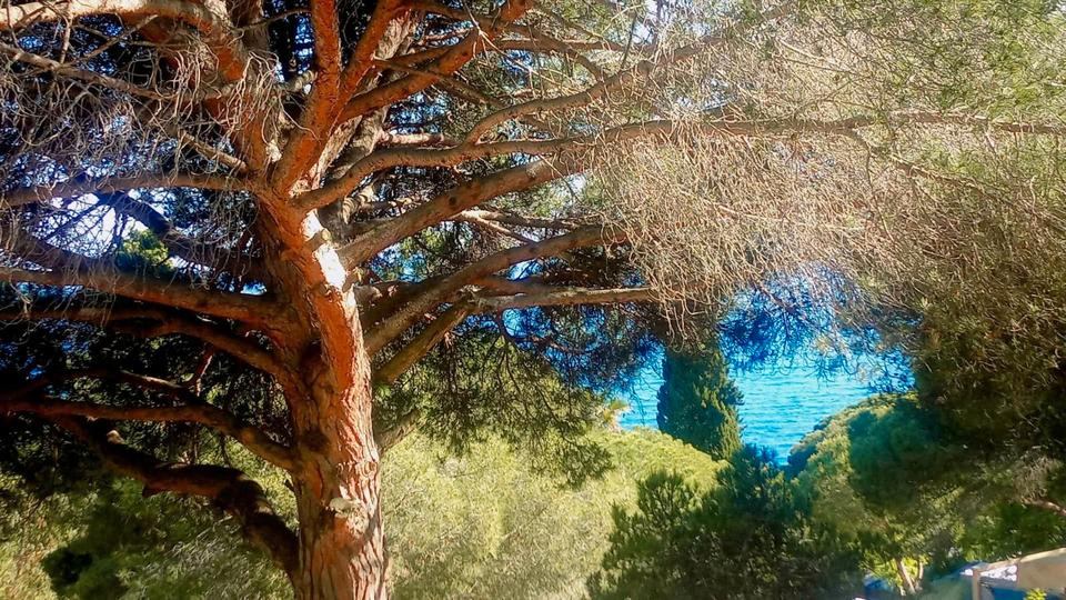 Einfamilienhaus München Am Hart - 2 Zimmer, 40 m&sup2;, 39.000&euro; | Angebot:25510300