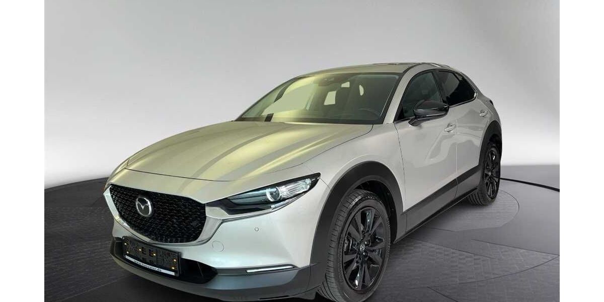 Mazda CX-30 50.000 km 25.890 € München 80339