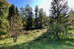 Grundstück Ebersberg - 1.000.000&euro; | Angebot:25684403