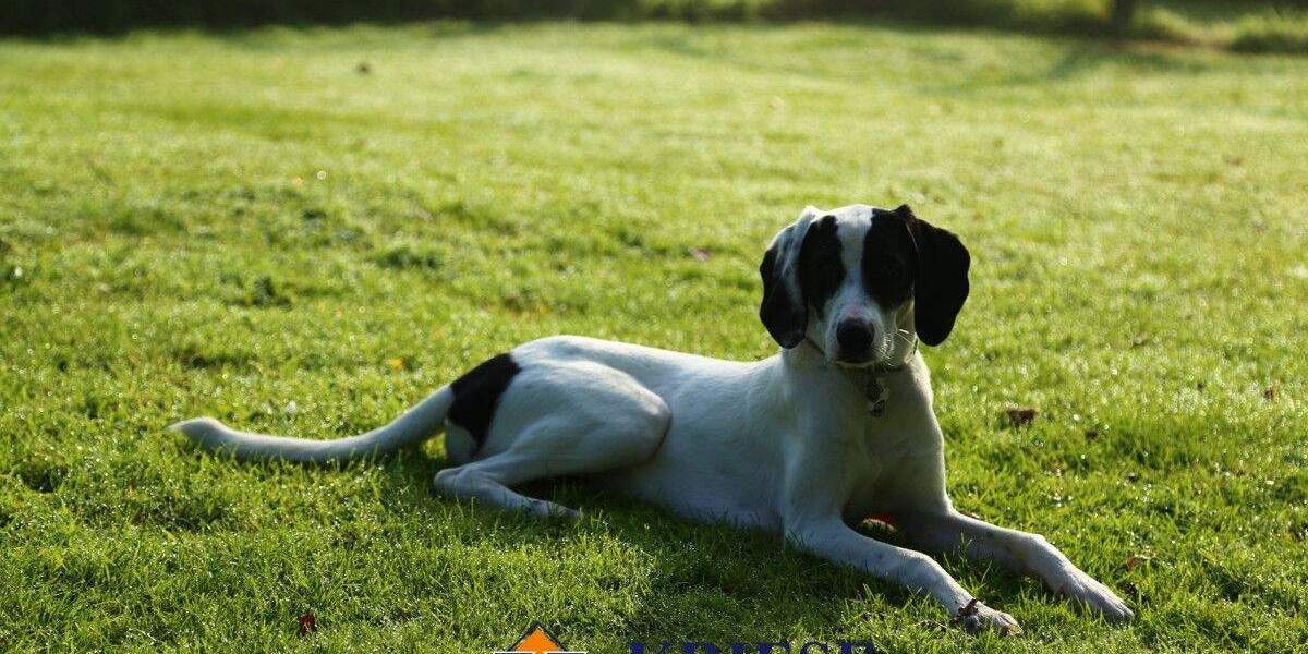 Exklusives Baugrundstück mit Altbestand in Germerings bester Lage zimmer