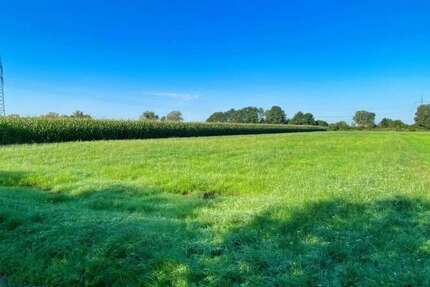 Grundstück in Ismaning 164.000 € 6540 m² zimmer