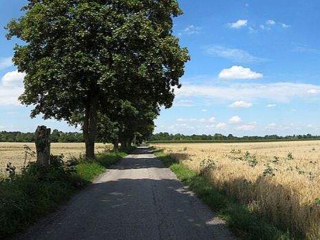 Reihenmittelhaus Olching - 5 Zimmer, 128 m&sup2;, 895.000&euro; | Angebot:25820317