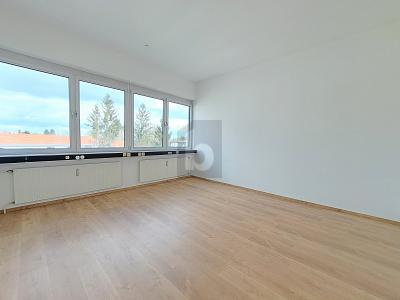 FLEXIBLE FLÄCHE - JE NACH BEDARF - MIT AUFZUG - Gewerbeobjekt München Aubing-Lochhausen-Langwied | Angebot:27233882