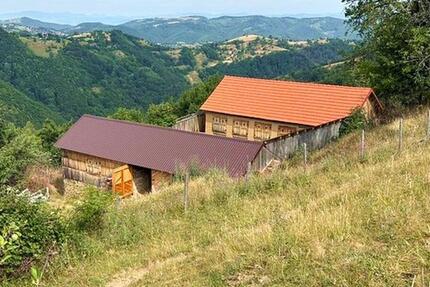 Haus mit 8 Hektar Land in Rumänien, Kreis Alba zimmer