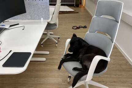 Gewerbeobjekt Garching bei München - 200&euro; | Angebot:25786830