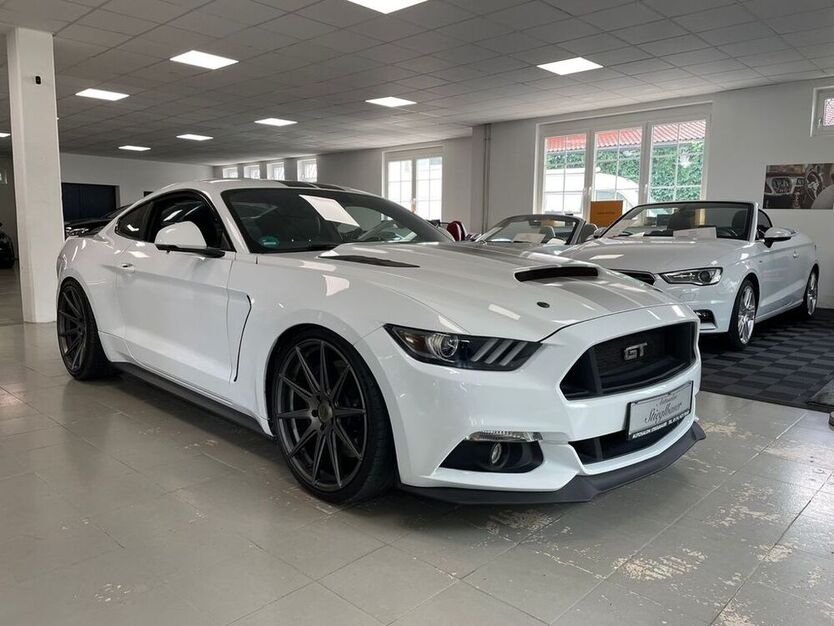 Mustang