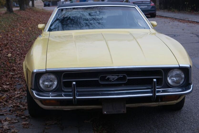 Mustang