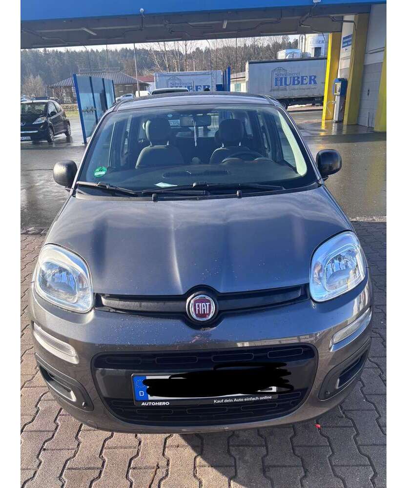 Panda