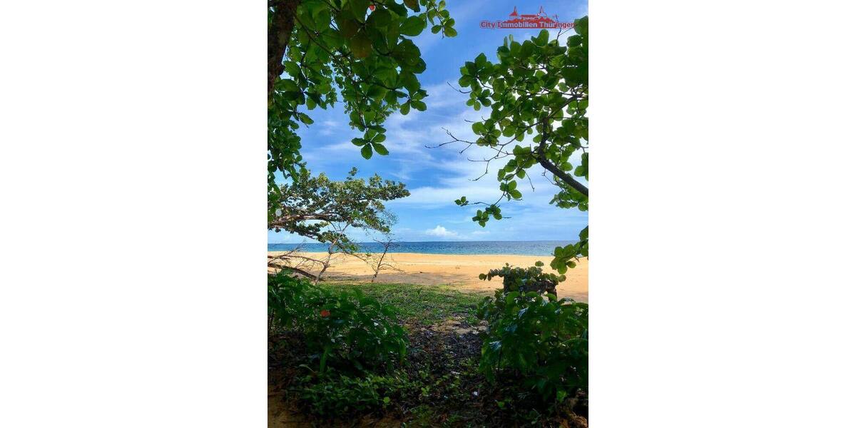 Grundstück in Costa Rica in einer der blauen Zonen der Erde zimmer